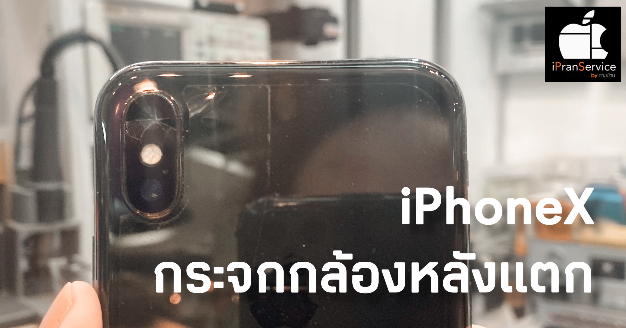 Photo ป่าน